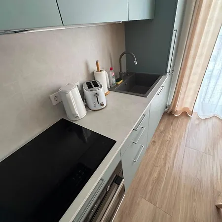 Apartamentai Keturi Vejai Monciskese * Palanga